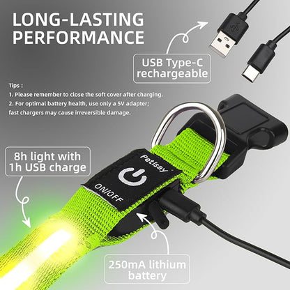 LED Dog Collar for XSmall Dogs & Toy Breeds – USB-C Rechargeable Light Up Dog Collar, Fully Waterproof Adjustable Glow Collar for Night Walking & Safety(Green,XS)