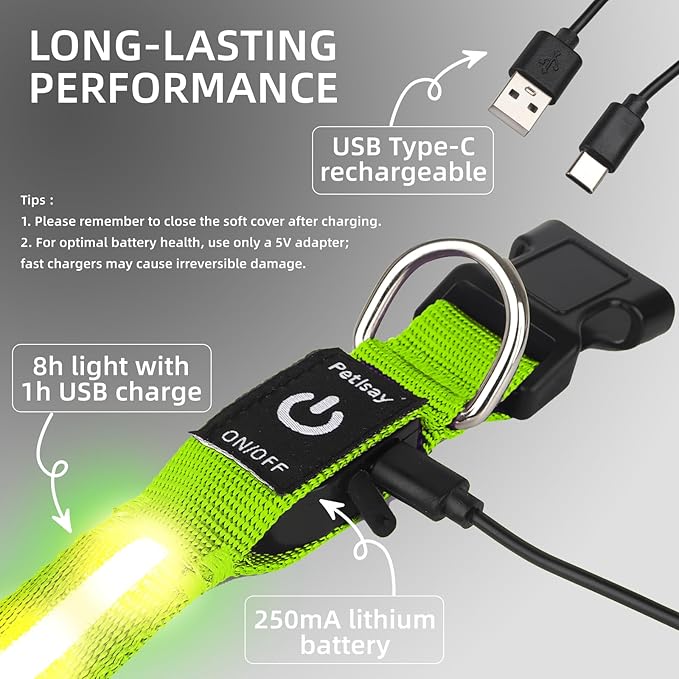 LED Dog Collar for Small Dogs & Toy Breeds – USB-C Rechargeable Light Up Dog Collar, Fully Waterproof Adjustable Glow Collar for Night Walking & Safety(Green,S)