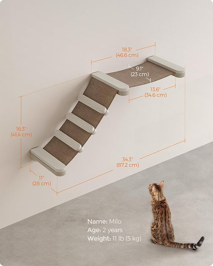 Feandrea Clickat Collection - No.002 Cat Climbing Hammock, Extremely Quick Assembly, Unlimited Expandability, Replaceable Washable Fabric, Wall-Mounted Cat Hammock Bed with Stairs