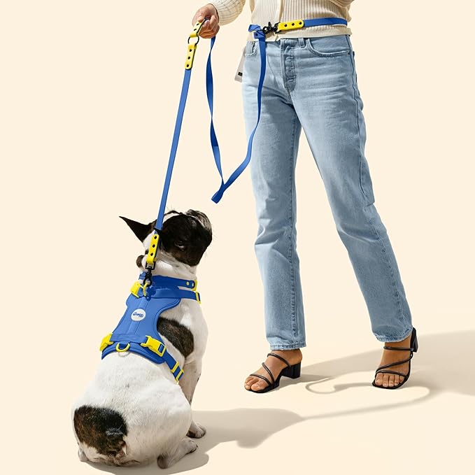 WLK1006C-5SET Luna Large 8FT Adjustable 6-in-1 Waterproof Hands-Free Leash and Collar with LED Flashlight, Bag Dispenser, and Poop Bag Holder, Curaçao