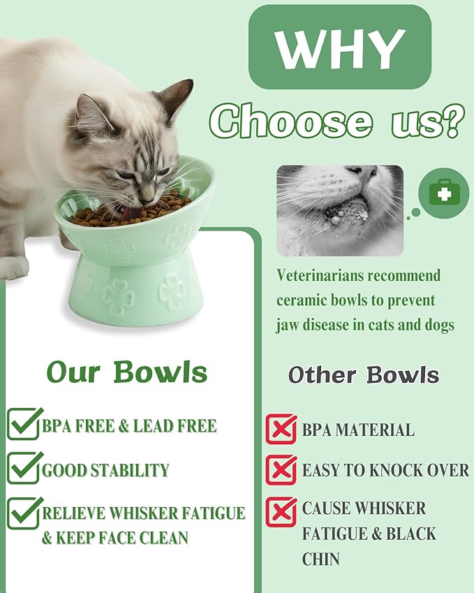 TRUVIC Ceramic Slow Feeder Cat Bowl, 15° Tilted Elevated Cat Slow Eating Bowl for Neck Protection, Anti Vomiting Dog Slow Feeder, Whisker Friendly & No Black Chin for Cats and Small Dogs, Jun Blanc