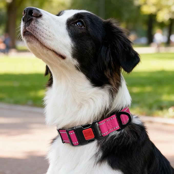 Taglory Reflective Dog Collar with Safety Locking Buckle, Soft Neoprene Padded Dog Collar for Medium Dogs, Metal D-Ring, Adjustable Nylon Neck Strap for Daily Walking, Training & Running, Hot Pink, M