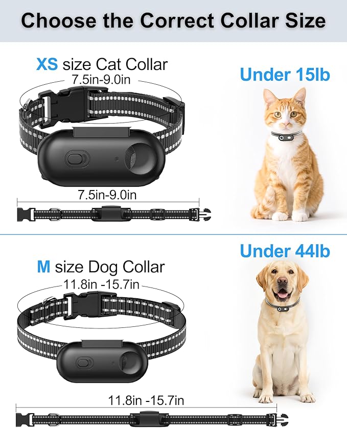 Dog & Cat Camera Collar, 1080P HD Video Recording Pet POV Cam for Medium Dogs & Large Cats, M-Size, Rechargeable Mini Action Camera with USB Playback on PC