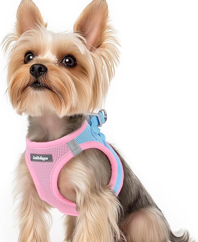 rabbitgoo Small Dog Harness, Step-in Soft Mesh Puppy Vest with Safety Buckle, Breathable Reflective Pet Harness for Small Sized Dogs, Blue & Light Pink XS