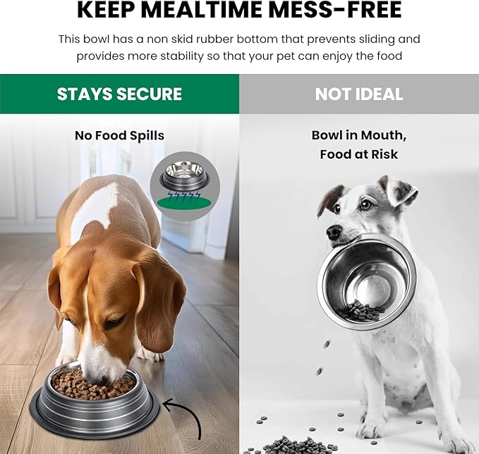 Iconic Pet 3 Cup/24 Oz Elegant Stainless Steel Color Splash Food/Water Bowl with Non Skid, Noise Free, Removable Rubber Ring - Dog/ Cat Feeding Bowl In color shade, Dishwasher Safe - Black, 2 Bowls
