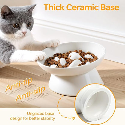 PETTOM Slow Feeder Cat Bowl, 2 Pack Ceramic Raised Tilted Cat Slow Feeder Bowl Elevated Puzzle Anti Vomiting for Dry and Wet Food Whisker Friendly for Kitty Puppy, White