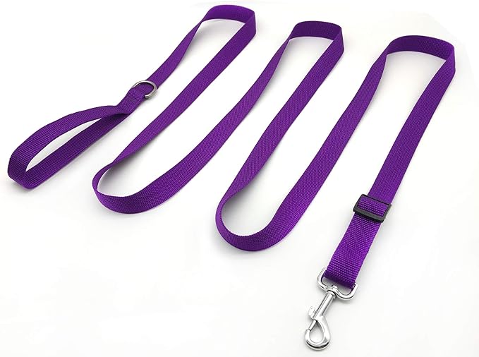 TAIAN Adjustable Nylon Dog Leash, 10 Foot Long Dog Leashes for Medium Large Dogs