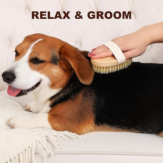 Dog Cat Brush for Short Hair Pet, TWPER Soft Boar Bristle Pet Palm Grooming Brush Gentle Hair Removal Massage