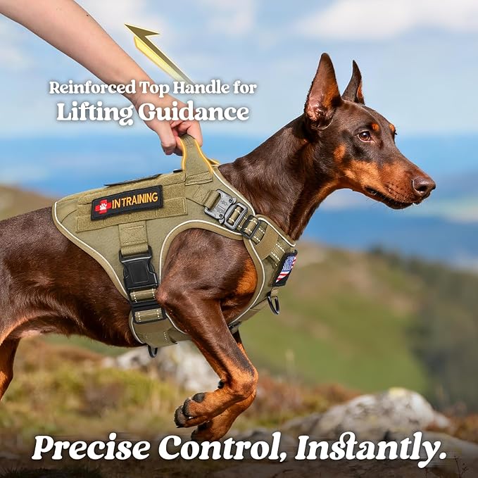 rabbitgoo Tactical Dog Harness for Large Dogs, No Pull Upgraded Reflective Heavy Duty Molle Vest with Handle, Adjustable Military Service Dog Vest for Walking Hiking Training, Brown, XL