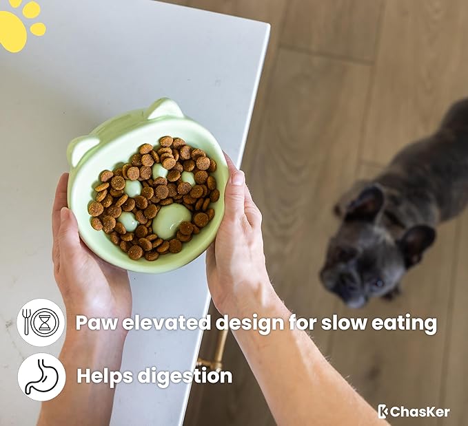 Ceramic Slow Feeder Bowl, Elevated CAT & Dog Slow Feeder, Wide-Mouth, PAW Design, Stylish Design, for Fast Eaters, Non Slip, Pets, Small & Medium Sized Breeds, (Green)