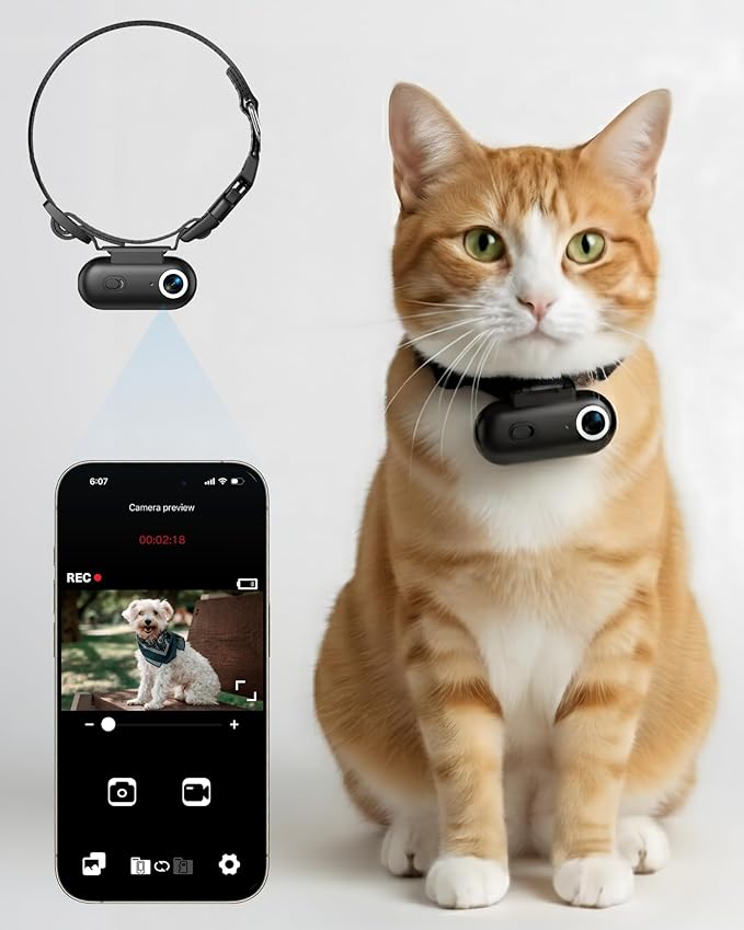 Cat Camera Collar with Phone APP, 1080P HD Video Recording Pet POV Cam for Cats & Small Dogs, XS-Size,Rechargeable Body Camera for Pets with APP Viewing