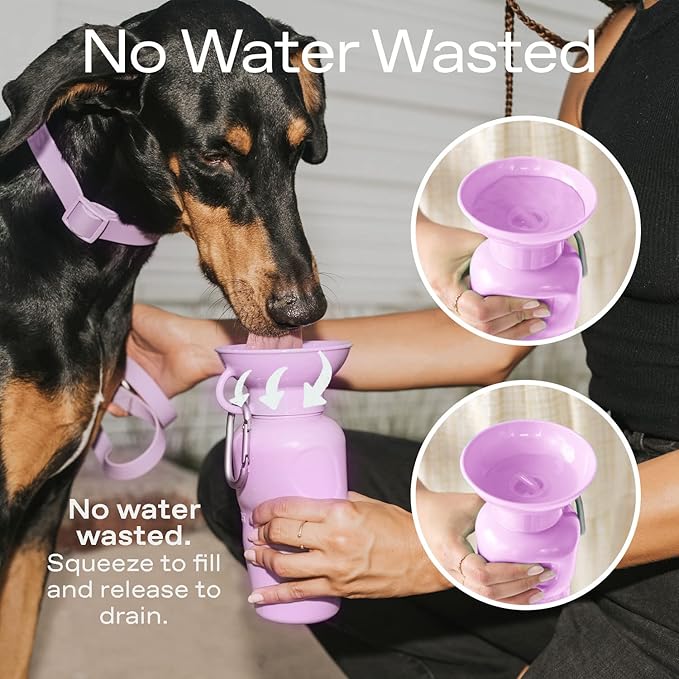Springer Dog Water Bottle | Portable Travel Water Bottle Dispenser For Dogs - As Seen on Shark Tank | Patented, Leak-Proof Bottles Fill Bowl With Water - Ideal for Walking | BPA-Free 15oz Blue