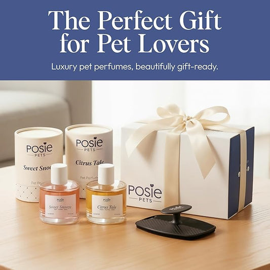 Perfume Gift Pack - Contains One Citrus Tale Fragrance, One Sweet Snooze Fragrance and Massage Brush