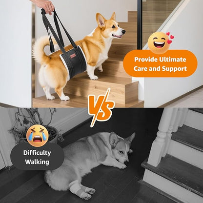 LOOBANI Portable Dog Sling for Back Legs, Hip Support Harness to Help Lift Dogs Rear for Canine Aid and Old K9 Cruciate Ligament Rehabilitation