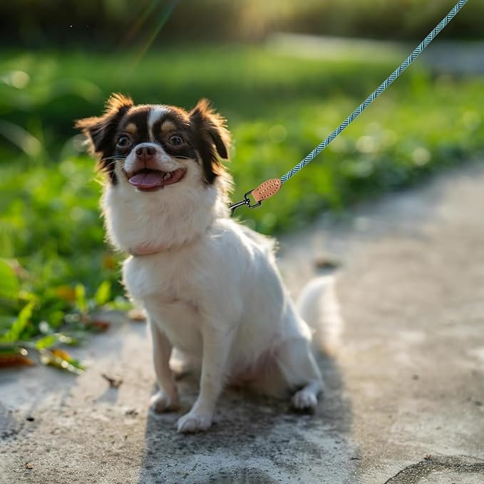 Mile High Life Small Dog Leash, Thin Rope Leash with Genuine Leather Connection and Heavy Duty Metal Clasp, Great for Small Medium Dogs(Turquoise Green, 48 Inch-1/3)