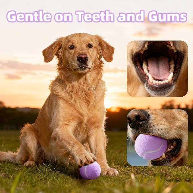 2.5" Dog Tennis Balls 6-Pack Silent Bounce, Tough Rubber Core, Durable Fetch & Training Toys for Indoor/Outdoor Play, for Small Medium Large Dogs (Light Purple, 6 Pack)