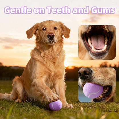 2.5" Dog Tennis Balls 6-Pack Silent Bounce, Tough Rubber Core, Durable Fetch & Training Toys for Indoor/Outdoor Play, for Small Medium Large Dogs (Light Purple, 6 Pack)