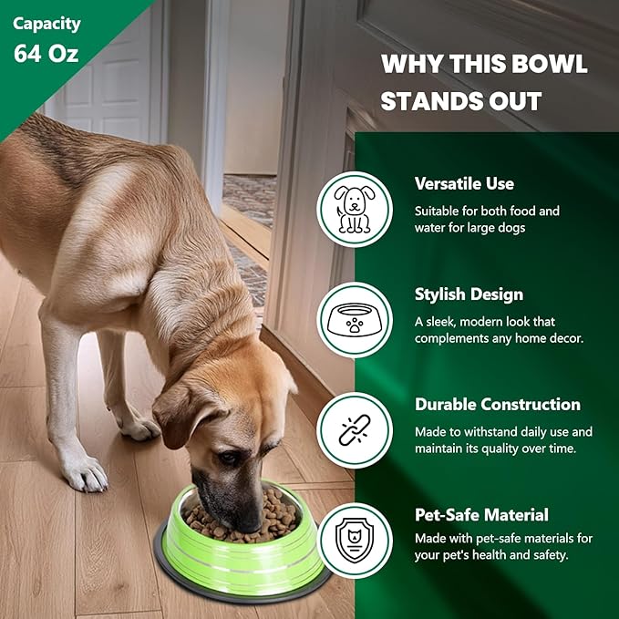Iconic Pet 8 Cup/64 Oz Elegant Stainless Steel Color Splash Food/Water Bowl with Non Skid, Noise Free, Removable Rubber Ring - Dog/ Cat Feeding Bowl In color shade, Dishwasher Safe - Green, 2 Bowls