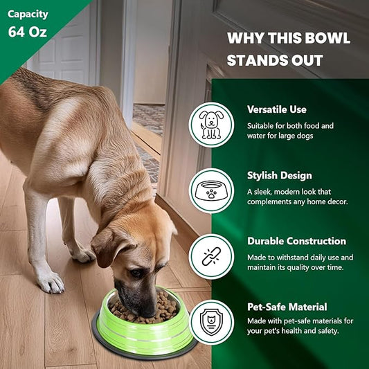 Iconic Pet 8 Cup/64 Oz Elegant Stainless Steel Color Splash Food/Water Bowl with Non Skid, Noise Free, Removable Rubber Ring - Dog/ Cat Feeding Bowl In color shade, Dishwasher Safe - Green, 2 Bowls