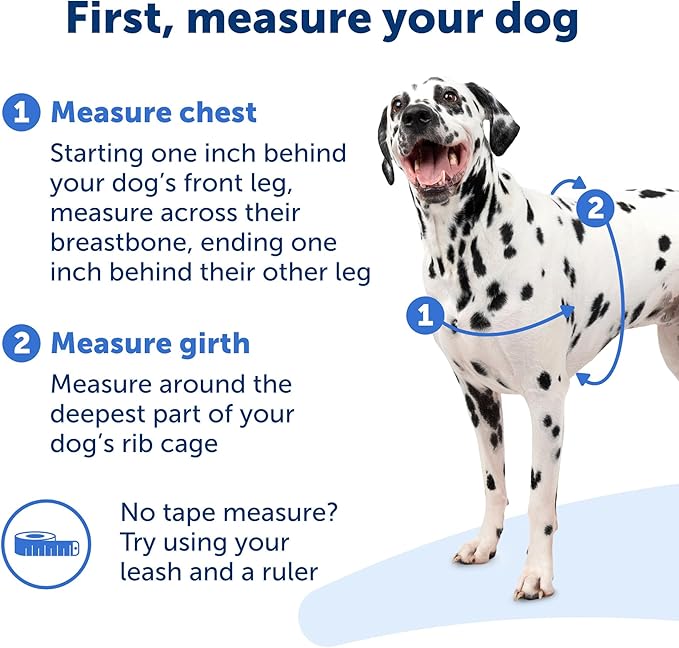 PetSafe Easy Walk Harness for Dogs - Pull-Free Walks - Patented Martingale Loop Design - Front Chest Leash Attachment - Comfort Straps - Breathable Harness Design - Small/Medium, Apple Green/Gray