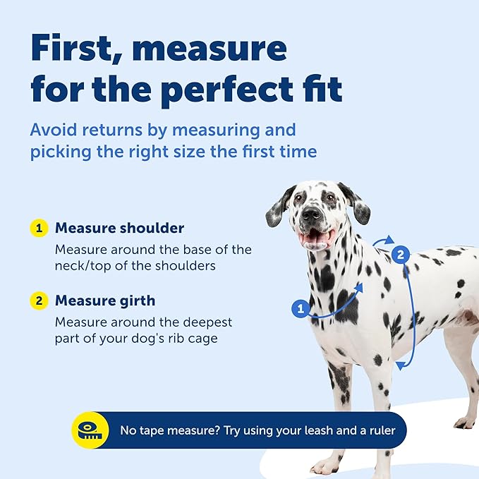 PetSafe 3-in-1 Harness - Comfortable Easy-Walk Dog Chest Harness with Front Leash Attachment to Reduce Pulling, Choking & Gagging - Dog Obedience Gear - Small - Black