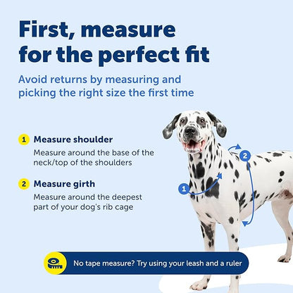 PetSafe 3-in-1 Harness - Comfortable Easy-Walk Dog Chest Harness with Front Leash Attachment to Reduce Pulling, Choking & Gagging - Dog Obedience Gear - Small - Black