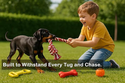 Jalousie Chew Toy Natural Rubber chew Toy for Interactive Play Toy Ball Rope Rubber Value Set for Small to Medium Breed Dog mutt Puppy