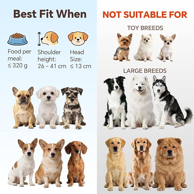 Elevated Dog Bowls for Food and Water - Double Ceramic Bowls with Metal Stand - Raised Feeding Station for Small and Medium Dogs - Each Holds 600ml / 3.2 Cups (Approx. 320g) - White