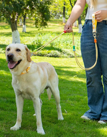 JSXD Dog Leash and Collar Set with AirTag Holder for Small Medium Large Dogs,5 FT Double Rope Leashes with Adjustable Reflective Soft Padded Nylon Pet Collars (Yellow, Small)