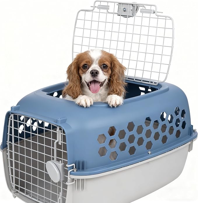 24" Pet Kennel Carrier for Small Dogs & Cats, Portable Travel & Home Use Two-Door (Top/Front Loading) Plastic Crate for 15-25 lbs Pets, Durable Blue