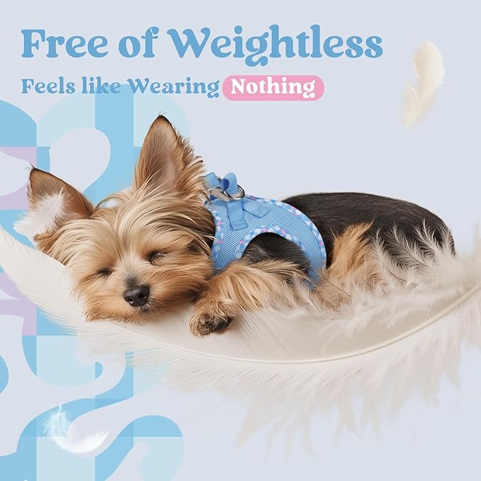 rabbitgoo Small Dog Harness, Step-in Soft Mesh Puppy Vest with Safety Buckle, Breathable Reflective Pet Harness for Small Medium Dogs, Blue & Plaid Trim L