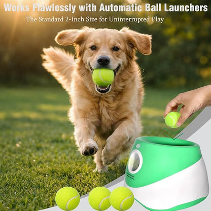 Automatic Dog Ball Launcher for Small Dogs & Medium Dogs, Interactive Fetch Machine with 3 Launch Distances (15–45 FT), USB Rechargeable, Includes 6 ETPU Balls (Mini)