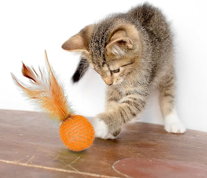 PET SHOW 10 Pack Cat Toys - Woolen Yarn Cat Balls, Interactive Mesh Feather Ball, String Toy for Indoor Cats, Chase Training Activity for Kittens