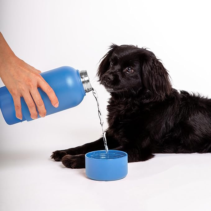 Ubbi Pup & Me Insulated Stainless Steel Dog Water Bottle with Attached Bowl, 32 oz Portable Leakproof Travel Bottle for Dogs and Owners, Blue
