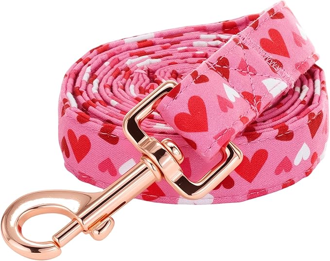 Dog Leash，Valentine's Pink Cute Love Heart Print Pet Leash Comfortable Padded Boy/Girl Durable Heavy Duty Leashes for Small Medium Large Dogs