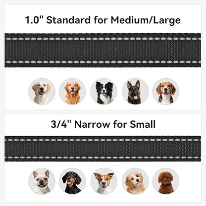 Joytale Dog Leash, 5 FT Double-Sided Reflective, Padded Handle Nylon Heavy Duty Leashes for Small Dogs Walking, Black