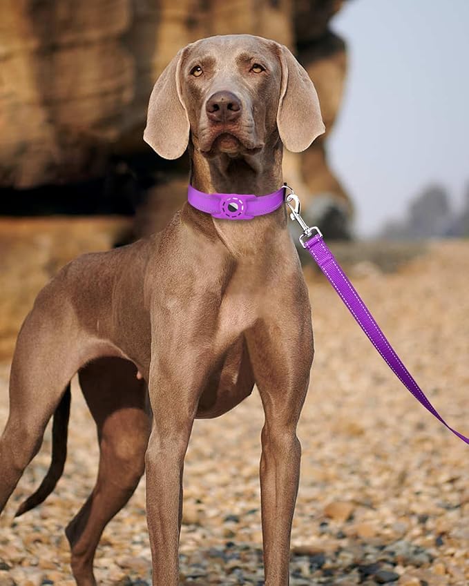 Reflective Dog Leash 6ft Soft Padded Handle Nylon Lead for Small & Medium Dogs, Durable Walking Training Leash for Night Safety (Purple,3/4Inch Wide)