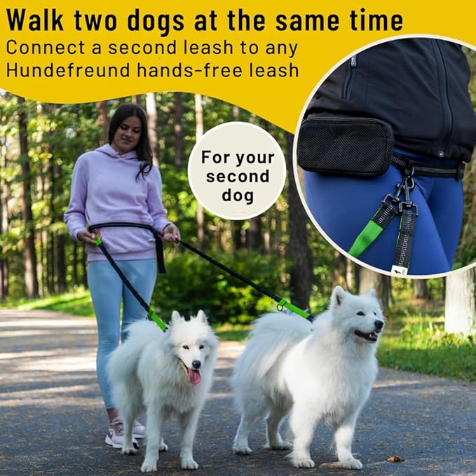 Hundefreund Hands-Free Dog Leash Replacement Bungee (47–67”) – Extension for Medium & Large Dogs – Shock-Absorbing with Dual Handles & Reflective Stitching (Green)