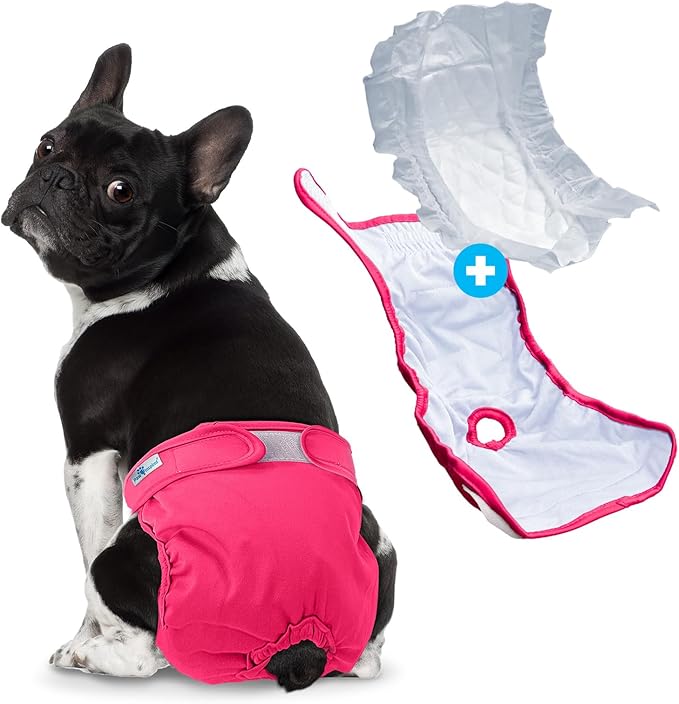 Paw Inspired Reusable Washable Dog Diapers (Pack of 3) in Assorted Colors with White Lining and Dog Diaper Suspenders in Black Combo Pack (Medium)