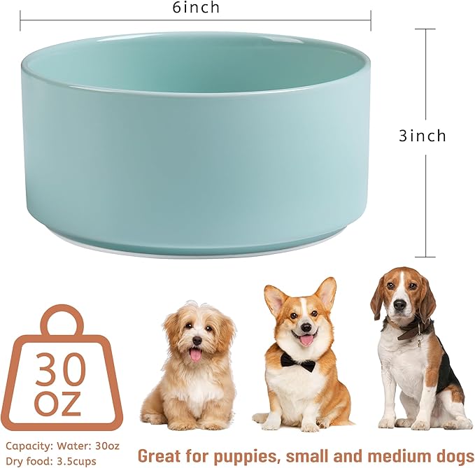 Dog Bowls, Non Slip Heavy Ceramic Dog Food and Water Bowl with Silicone Base, Pet Feeding Bowl for Puppies, Small and Medium Dogs (Glossy Light Green, 6 Inches)