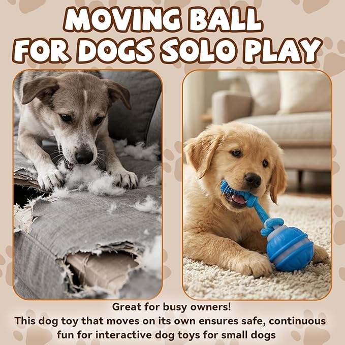 Interactive Dog Toys,Dog Ball,Automatic Rolling Moving for Interactive Dog Toys,Upgraded 360° Smart Automatic Rolling,Toy Wicked Ball for Boredom & Training for Puppy Small Dogs (Blue)