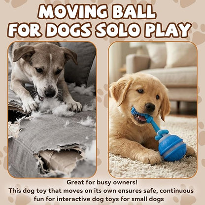 Interactive Dog Toys,Dog Ball,Automatic Rolling Moving for Interactive Dog Toys,Upgraded 360° Smart Automatic Rolling,Toy Wicked Ball for Boredom & Training for Puppy Small Dogs (Blue)