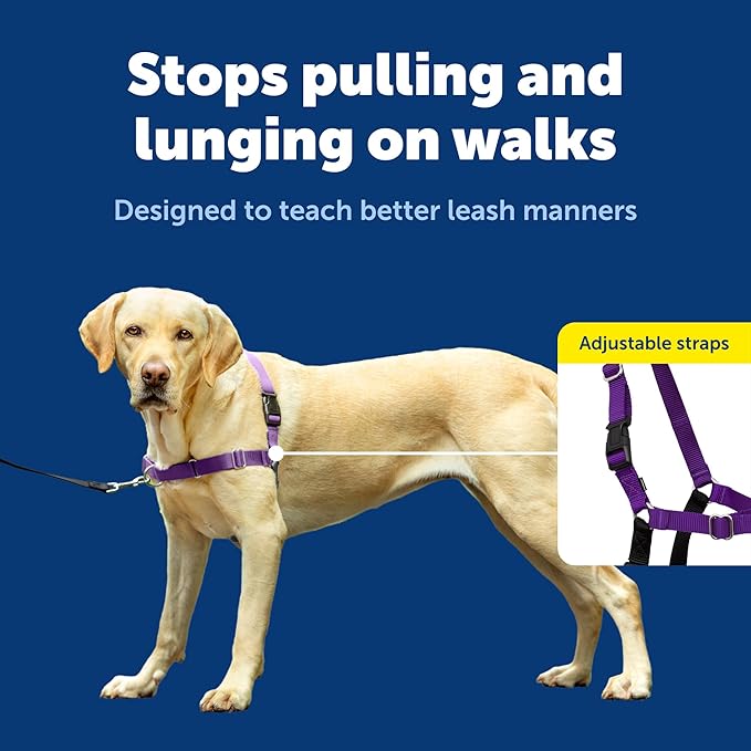 PetSafe Easy Walk Harness for Dogs - Pull-Free Walks - Patented Martingale Loop Design - Front Chest Leash Attachment - Comfort Straps - Breathable Harness Design - Large, Deep Purple/Black