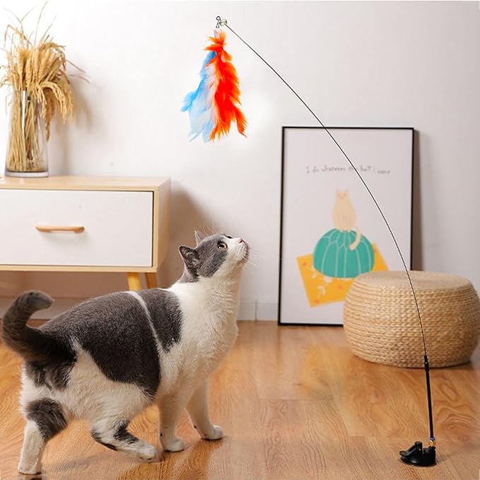 8 Pieces Cat Feather Toys Replacement Bird Insect Cat Toy Wand Refills Cats Toy Replacement Natural Bird Feathers for Cats Toys