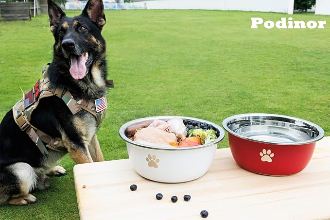 Large Dog Water Bowl 2 Pack, 1.3 Gallons 170oz Stainless Steel Extra Large Dog Food Bowl for Big Giant Dogs, Red
