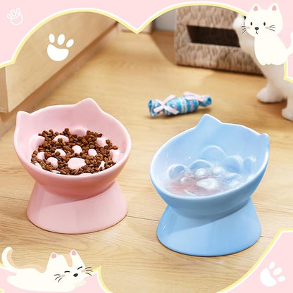 2 Pcs Ceramic Raised Slow Feeder Cat Bowl, 5.91inch Elevated Cat Slow Feeder Bowl Tilted Anti Vomiting for Dry Wet Food and Water Easy to Clean High Edge(Pink, Blue)