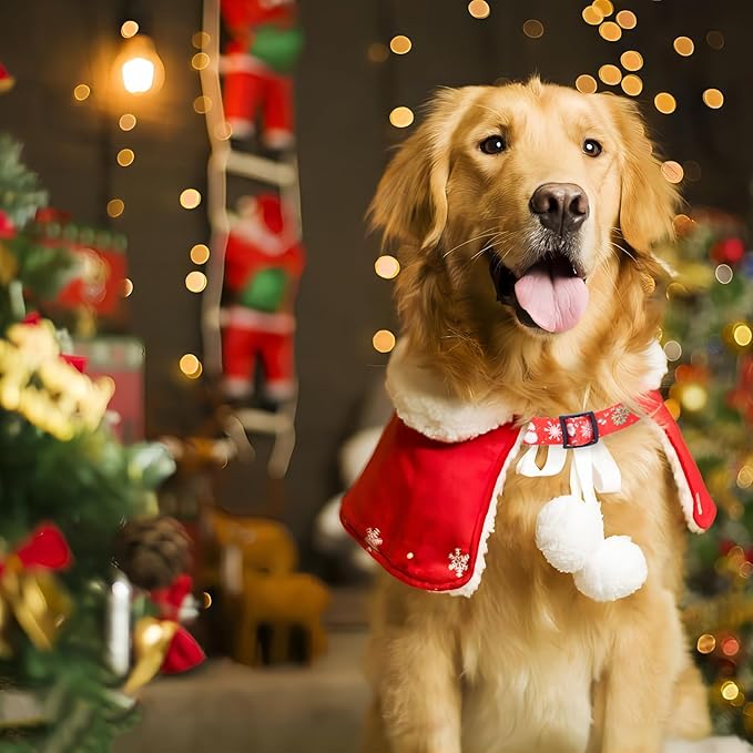 Christmas Dog Collar with Buckle Adjustable Safety Nylon Collars for Small Medium Large Dogs, Cute Stylish Girl Boy Christmas Dog Collar (Christma Red,L)