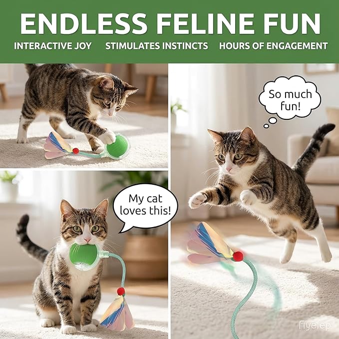 JBD Interactive Cat Toy Ball for Indoor Cats-Silent Automatic Rolling & Self Moving Electric Kitten Toys, USB Rechargeable Smart Ball with Tail, Motion Activated Hunting Exercise for Bored Cats Green