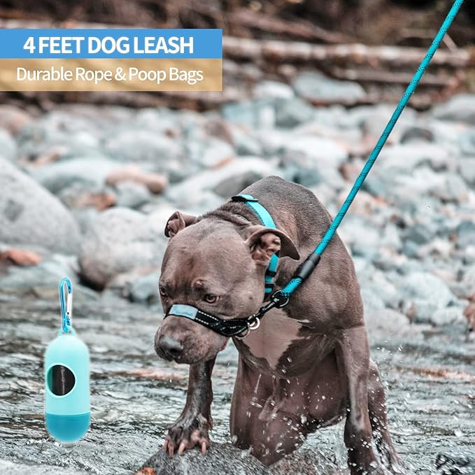 BAAPET 2/4/5/6 FT Dog Leash with Comfortable Padded Handle and Highly Reflective Threads for Small Medium and Large Dogs (4FT-1/2'', Blue)