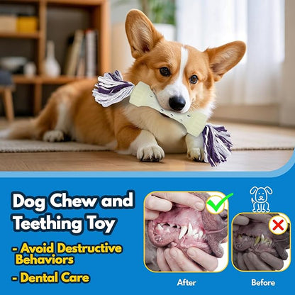 Glow-in-The-Dark Dog Toy – Interactive Fetch, Tug & Treat Puzzle for Small Dogs, 13” Lightweight Flying Disc with Dental Cleaning Texture, TPR & Rope Calming Chew Toy for Anxiety Relief